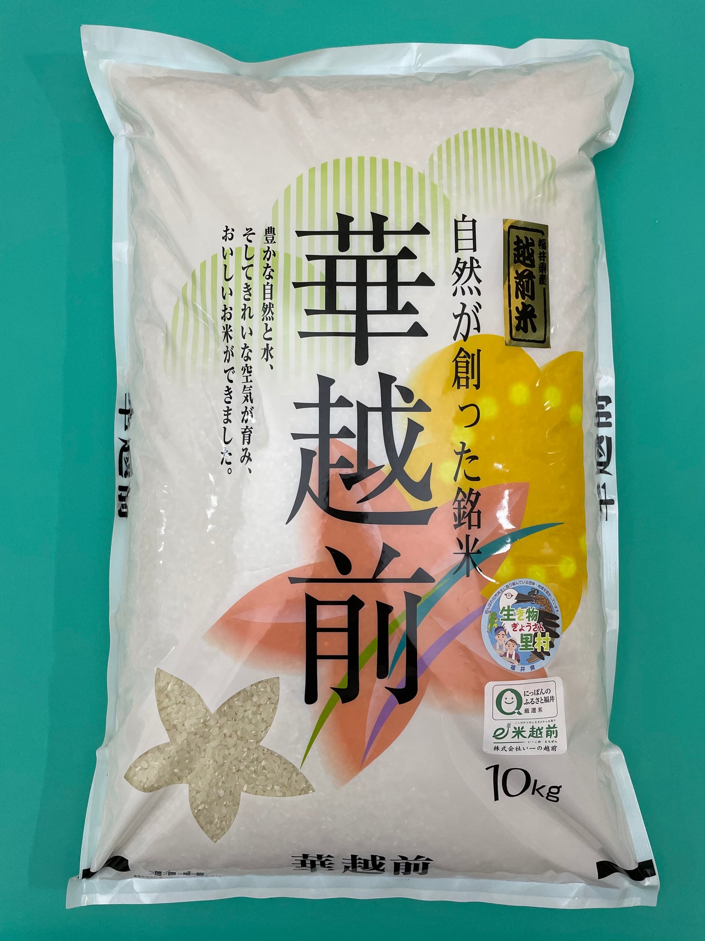 令和7年産 華越前(ハナエチゼン)(10㎏)送料込み