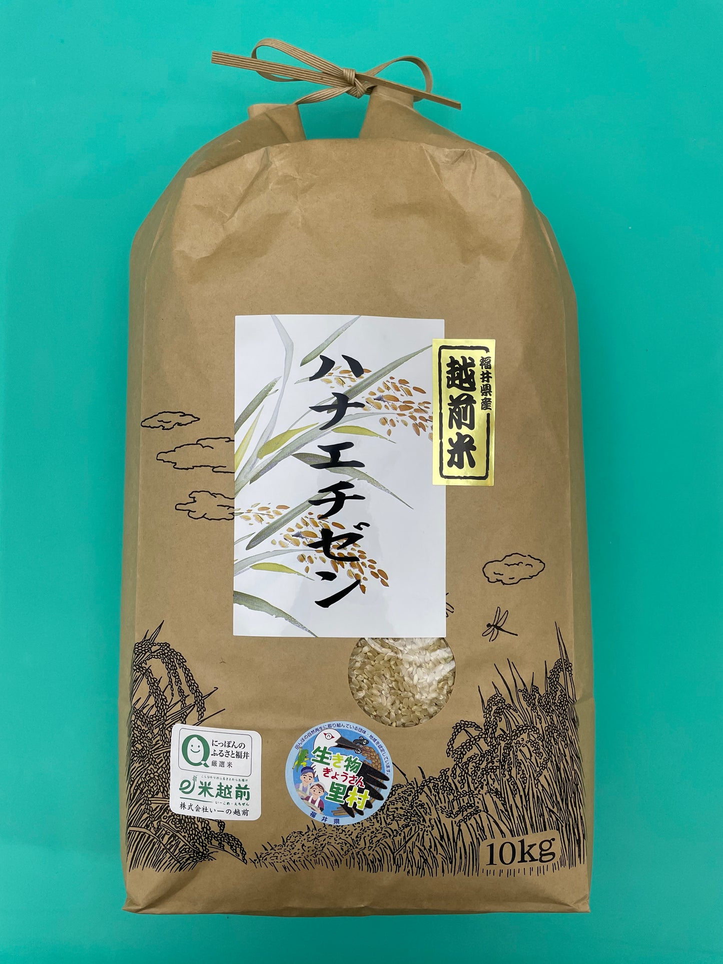 令和7年産 玄米 華越前(ハナエチゼン)(10㎏)送料込み