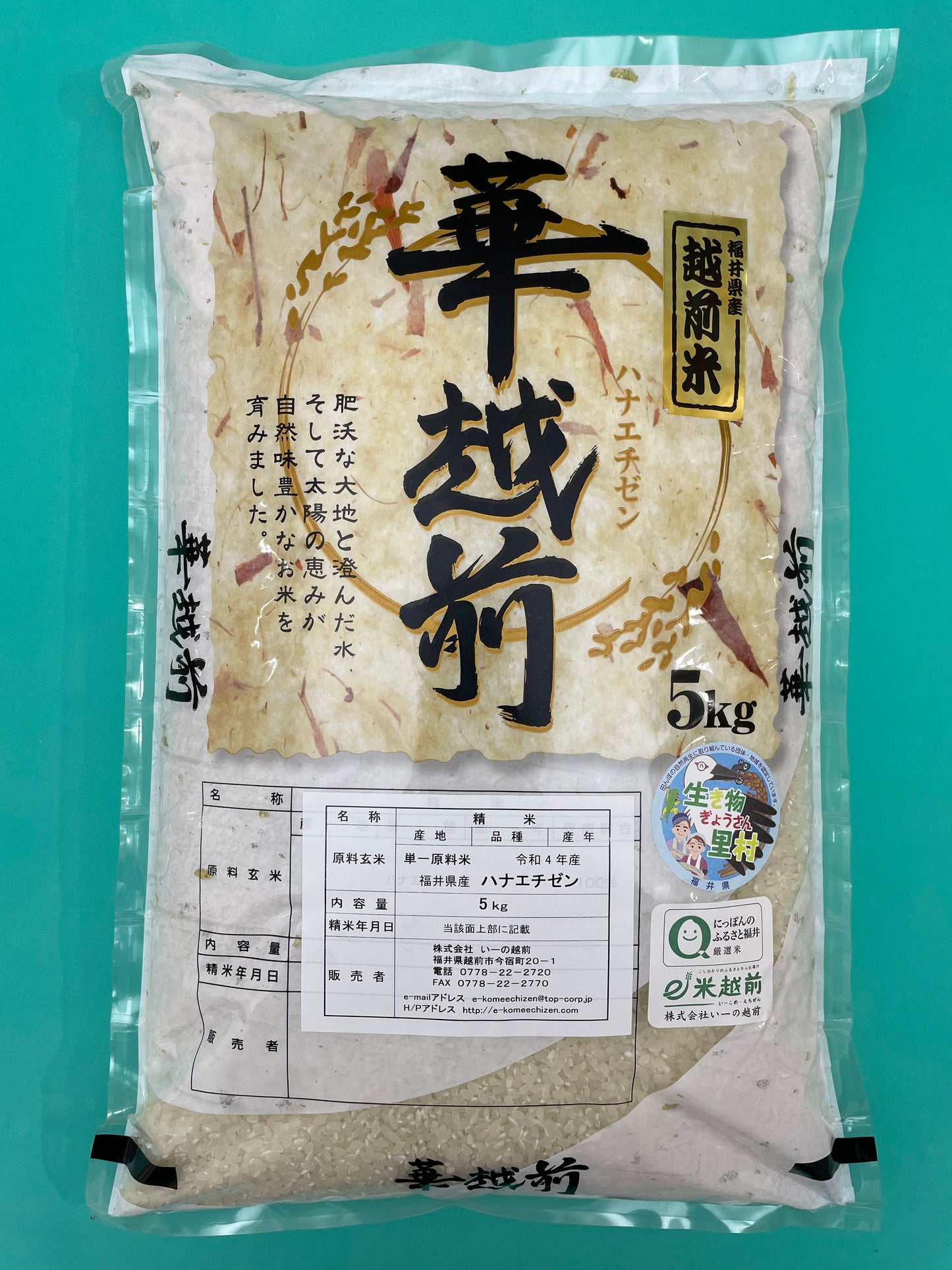 ★新米★　令和６年産　華越前（ハナエチゼン）（5㎏）送料込み