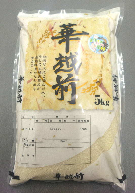 令和8年産　華越前（ハナエチゼン）（5㎏）送料込み