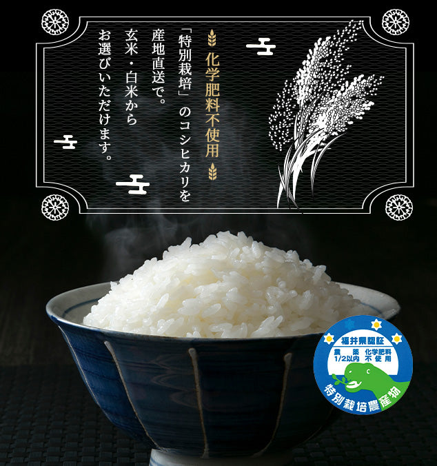 コシヒカリ　特別栽培米