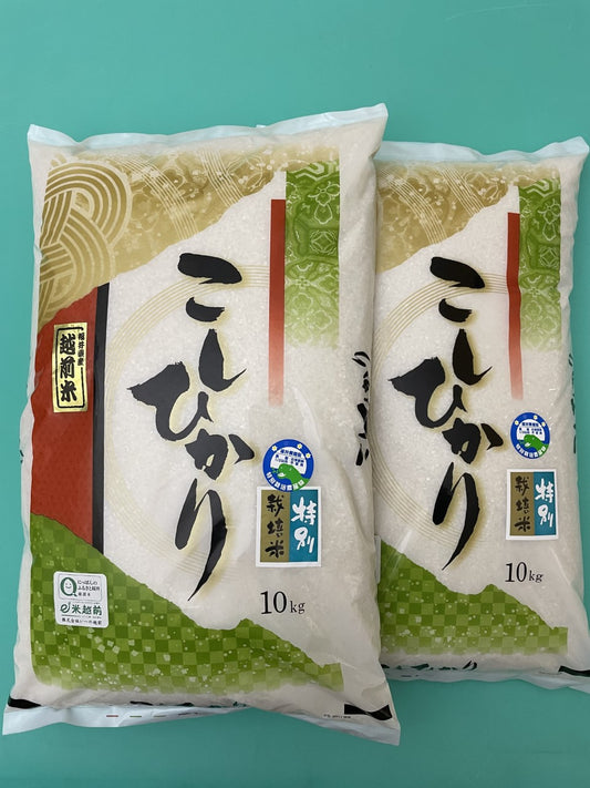 令和5年産　特別栽培米　コシヒカリ（20㎏）
