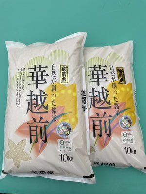 新品20キロハナエチゼン ☆新米☆ 令和6年産 華越前（ハナエチゼン）（20㎏）送料込み